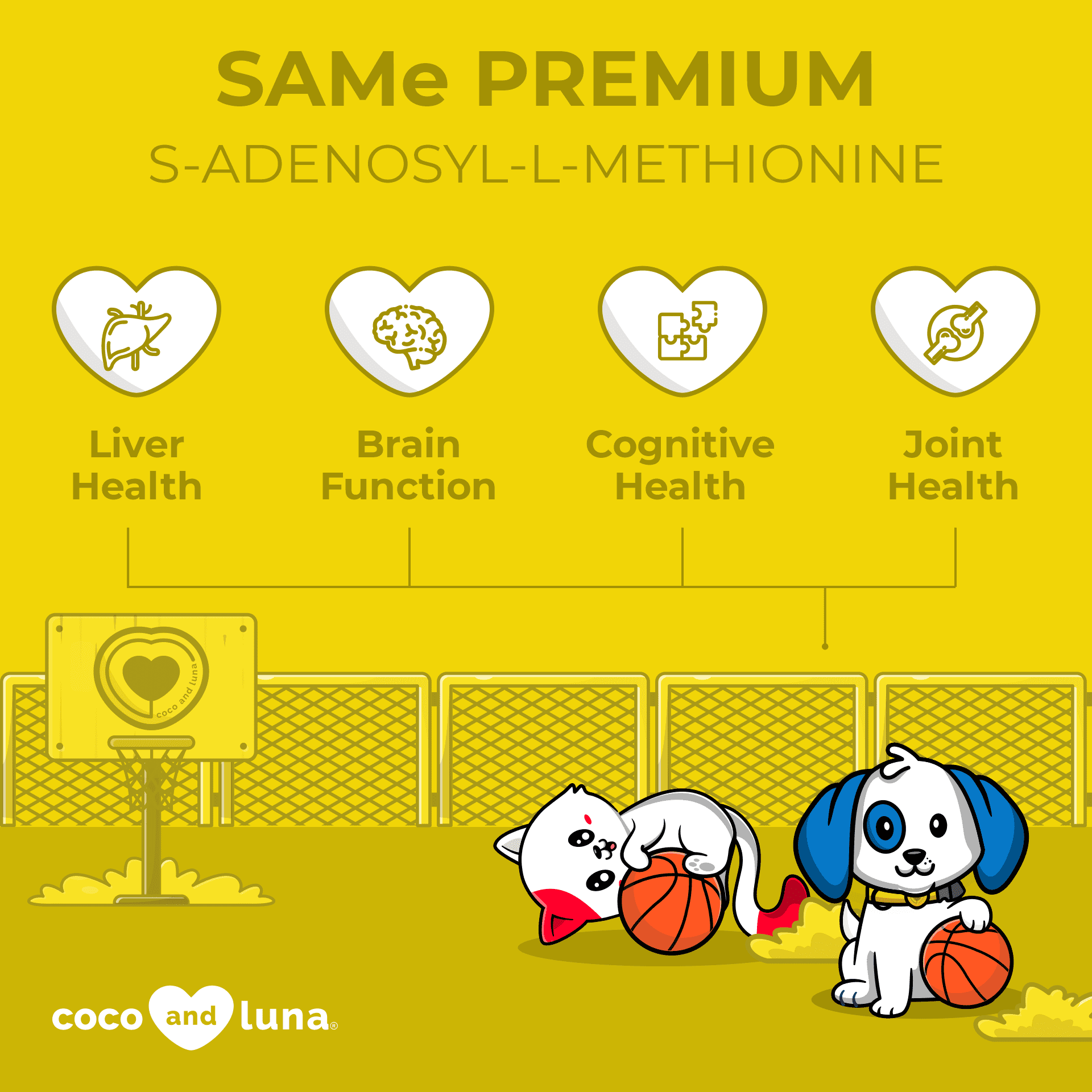 SAMe Premium for Dogs and Cats - 4 oz Powder - Coco and Luna