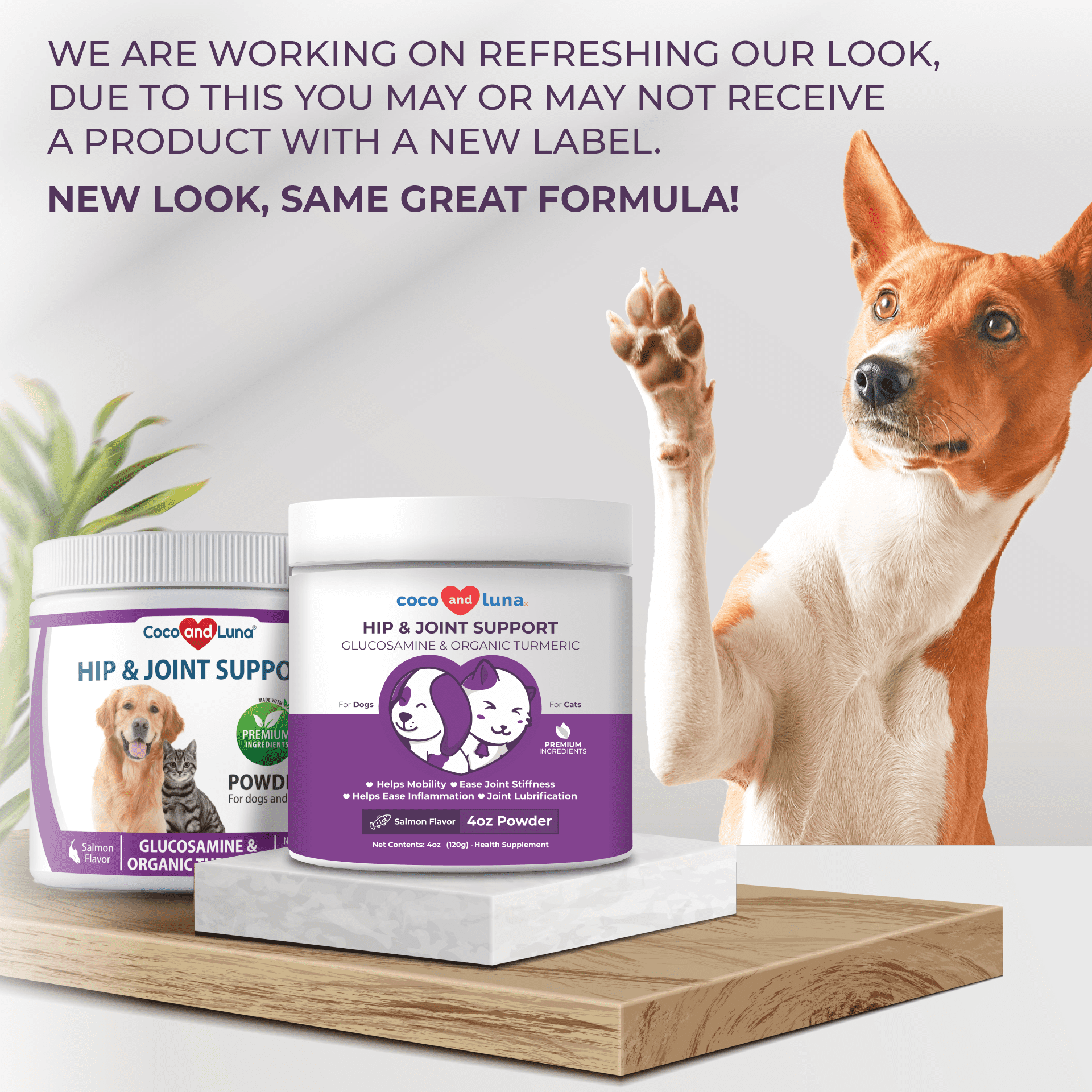 Glucosamine powder for dogs hot sale