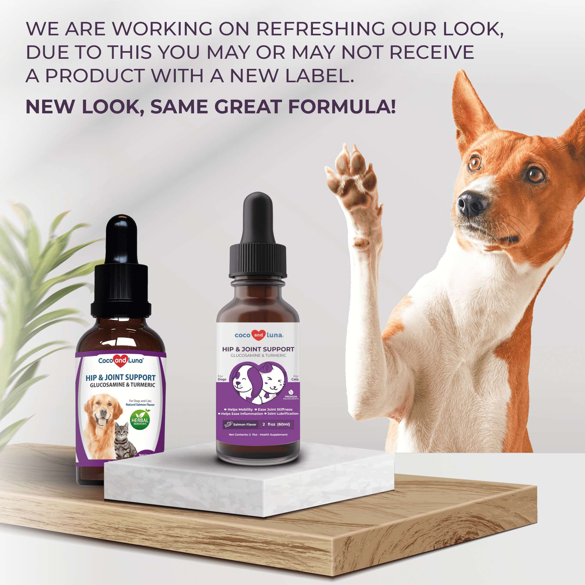 Hip and joint sales support for dogs