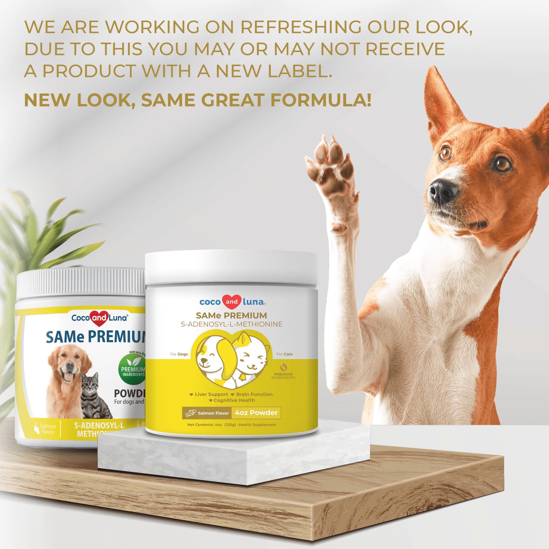 Same supplement shop for dogs