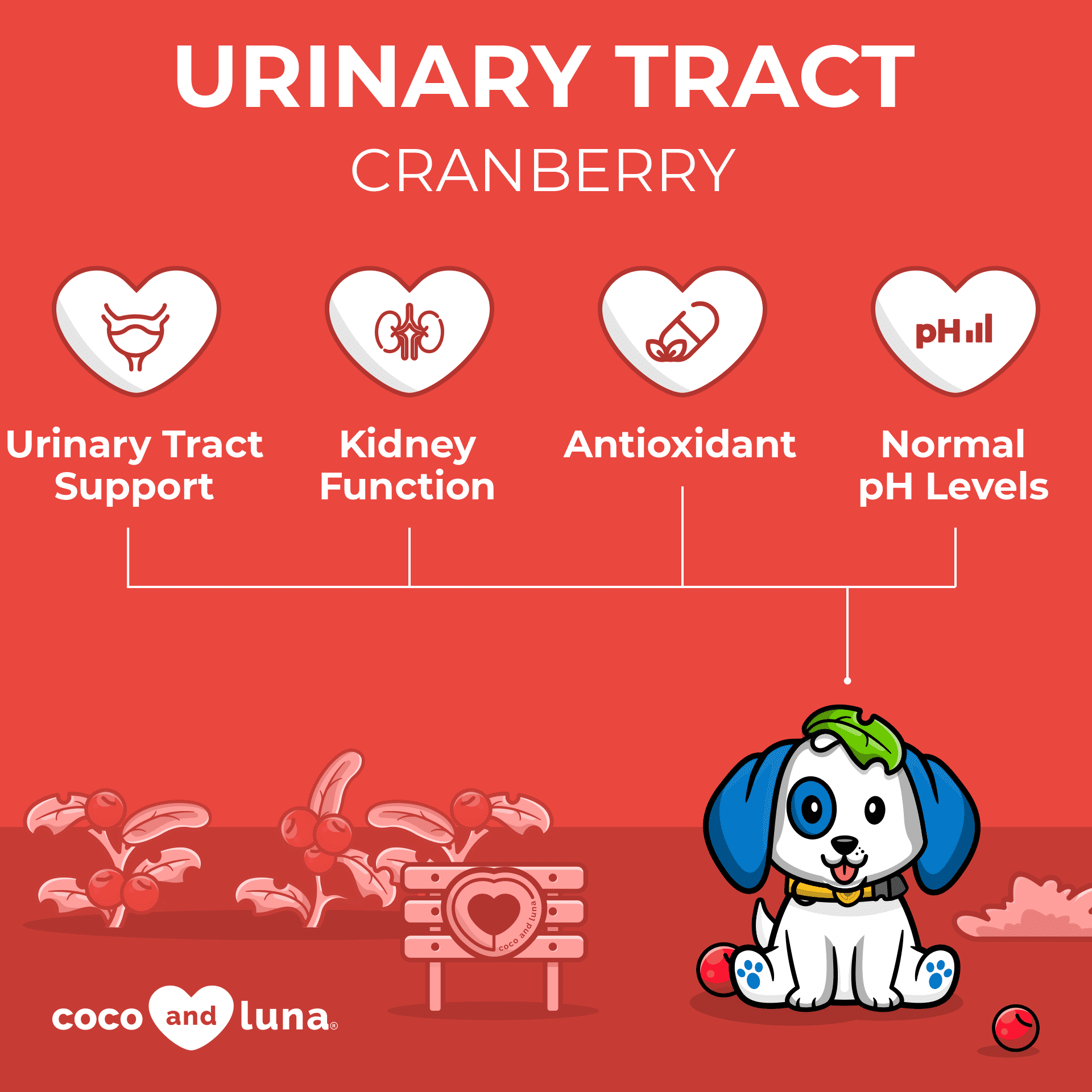 Urinary Tract Support for Dogs - 60 Chewable Tablets - 4 Pack - Coco and Luna