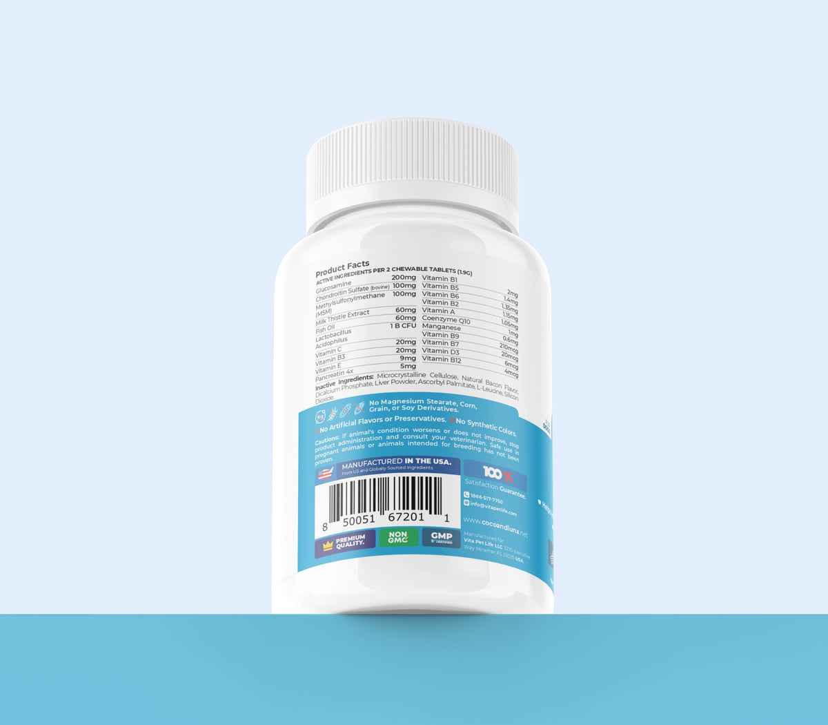 Multivitamínico 10 en 1 para perros: paquete de 3 (360 comprimidos masticables) 