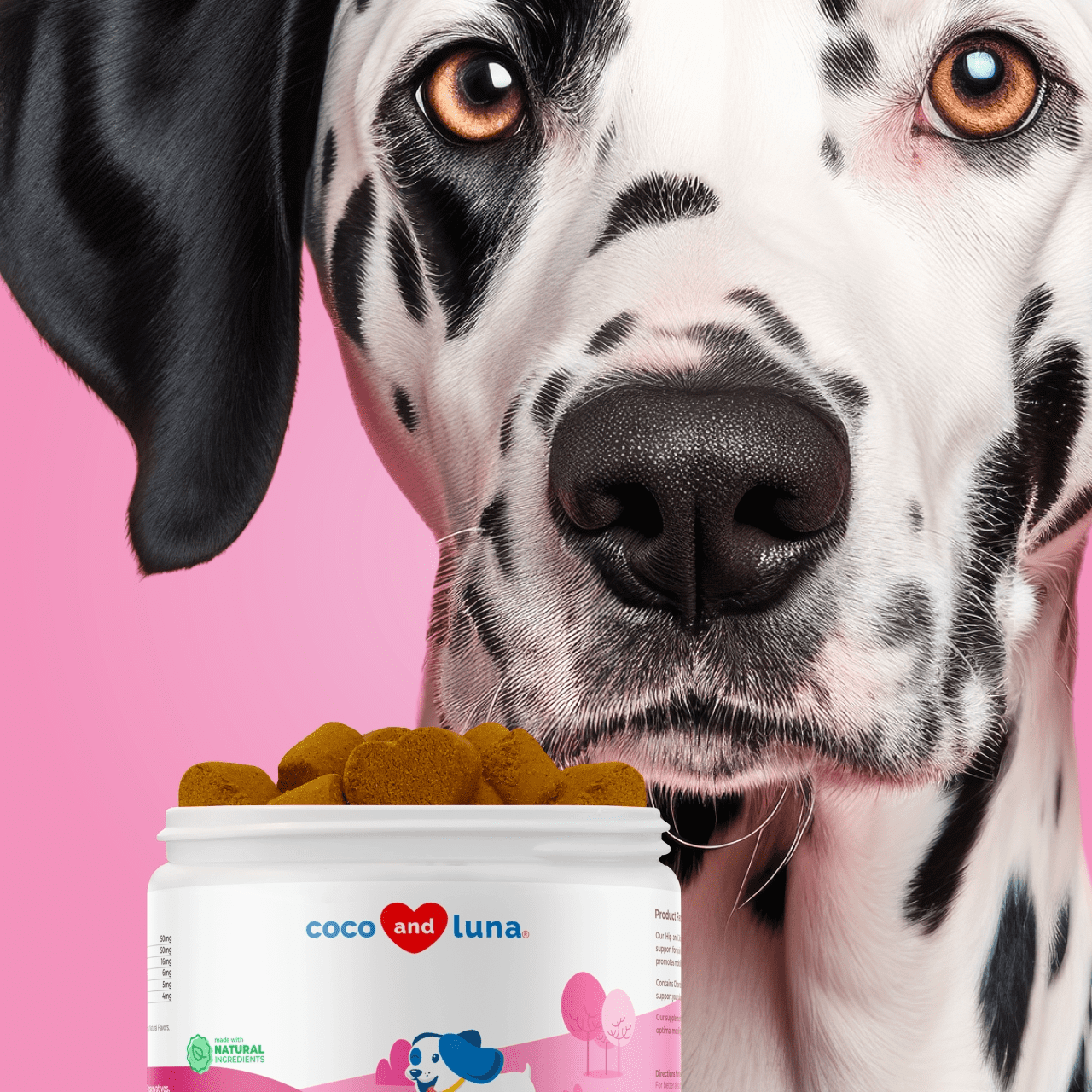Hip and Joint Support for Dogs - Max Strength - 90 Soft Chews - Coco and Luna