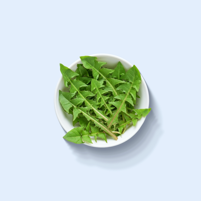 Dandelion Extract