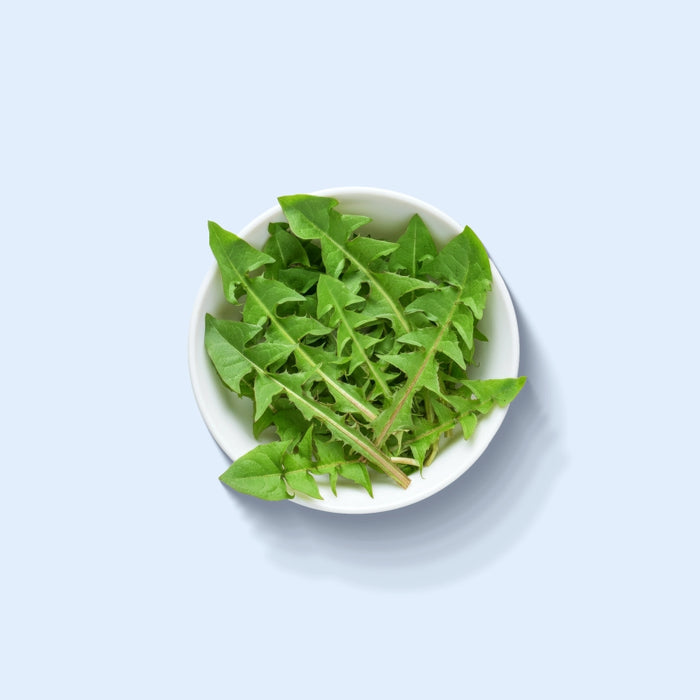 Dandelion Extract