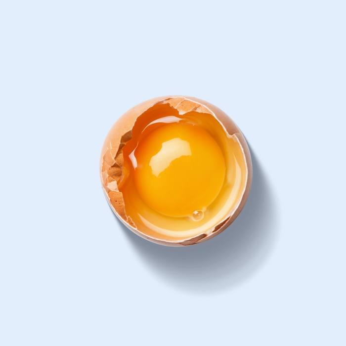 Egg Shell Membrane