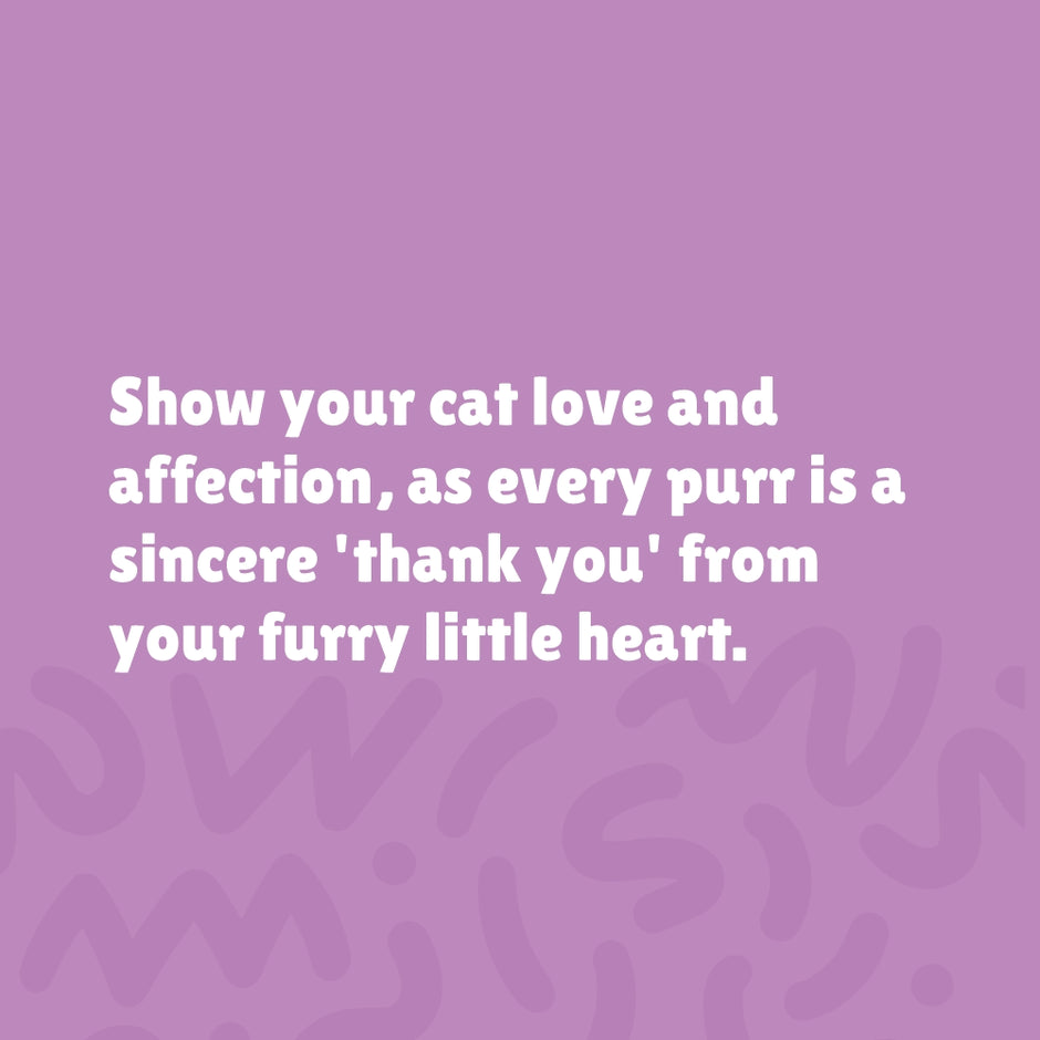 Hip and Joint Support for Cats and Dogs 4 oz Powder Coco and Luna