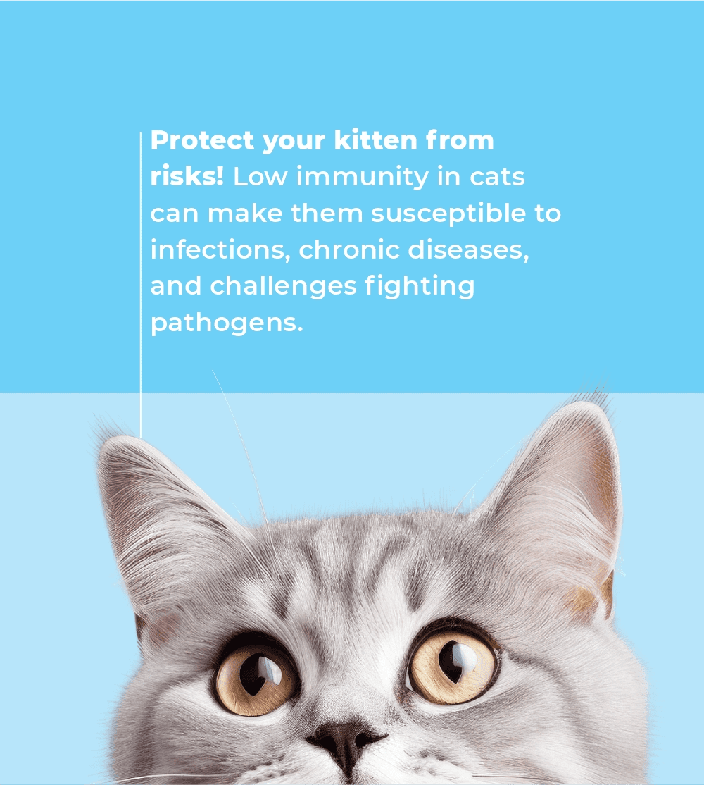 Cat multivitamin powder deals