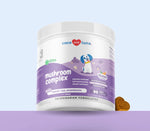 Mushroom Complex for Dogs - 90 Soft Chews