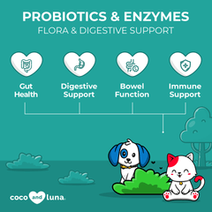 Probiotics and Enzymes - 4 oz Powder