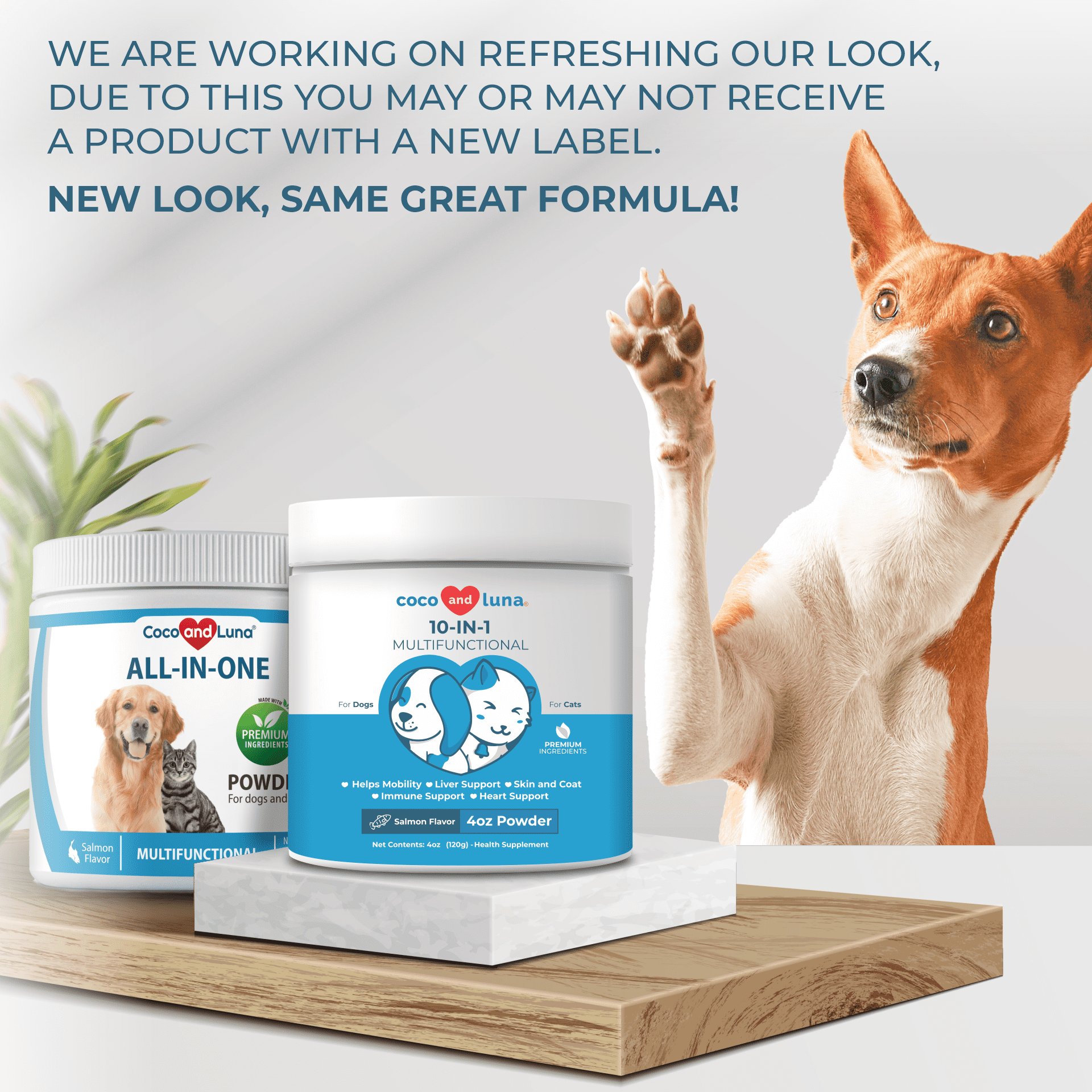10 in 1 Multivitamin for Dogs and Cats - 4 oz Powder - Coco and Luna