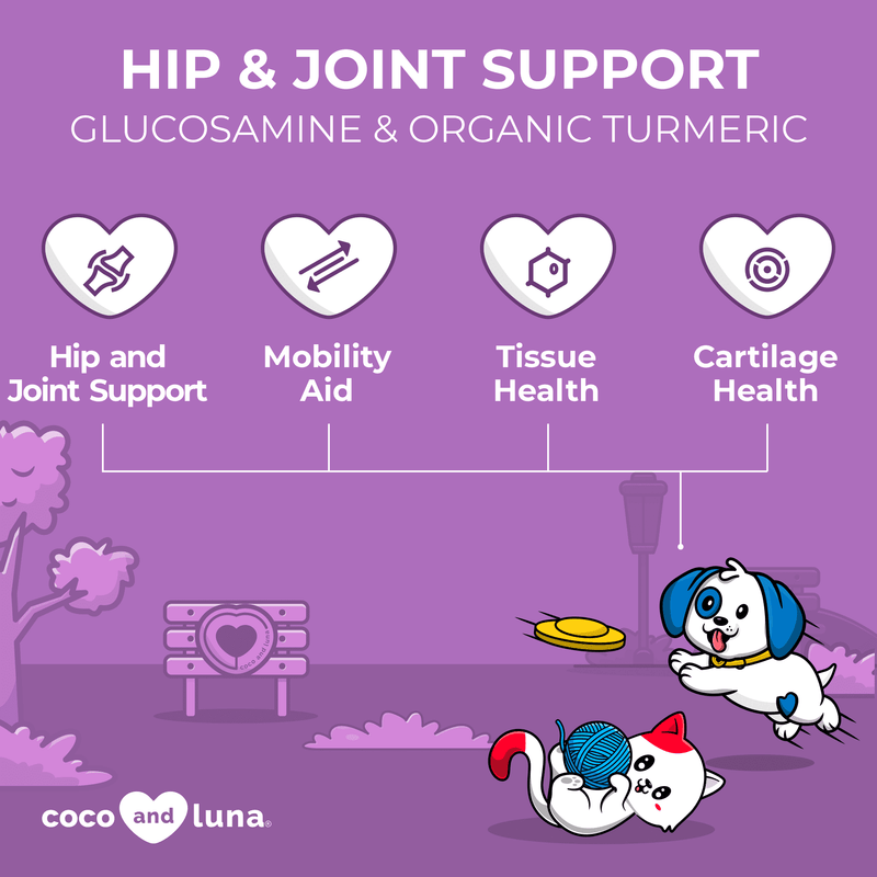 Hip and Joint Support for Cats and Dogs - 4 oz Powder