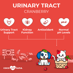 Urinary Tract Support for Dogs and Cats - 2 oz (60ml)