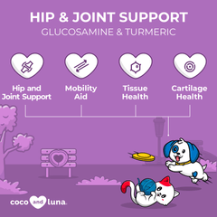 Hip and Joint Support for Dogs and Cats - 2 oz (60ml)