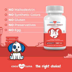 Urinary Tract Support for Dogs - 3 Pack (360 Chewable Tablets)