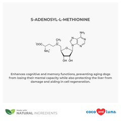 Same for Dogs - S-Adenosyl-L-Methionine, Same 225mg, Liver Supplement for Dogs, Promotes Cognitive Support and Liver Support (Veterinarian Formulated, Medium Dogs)…
