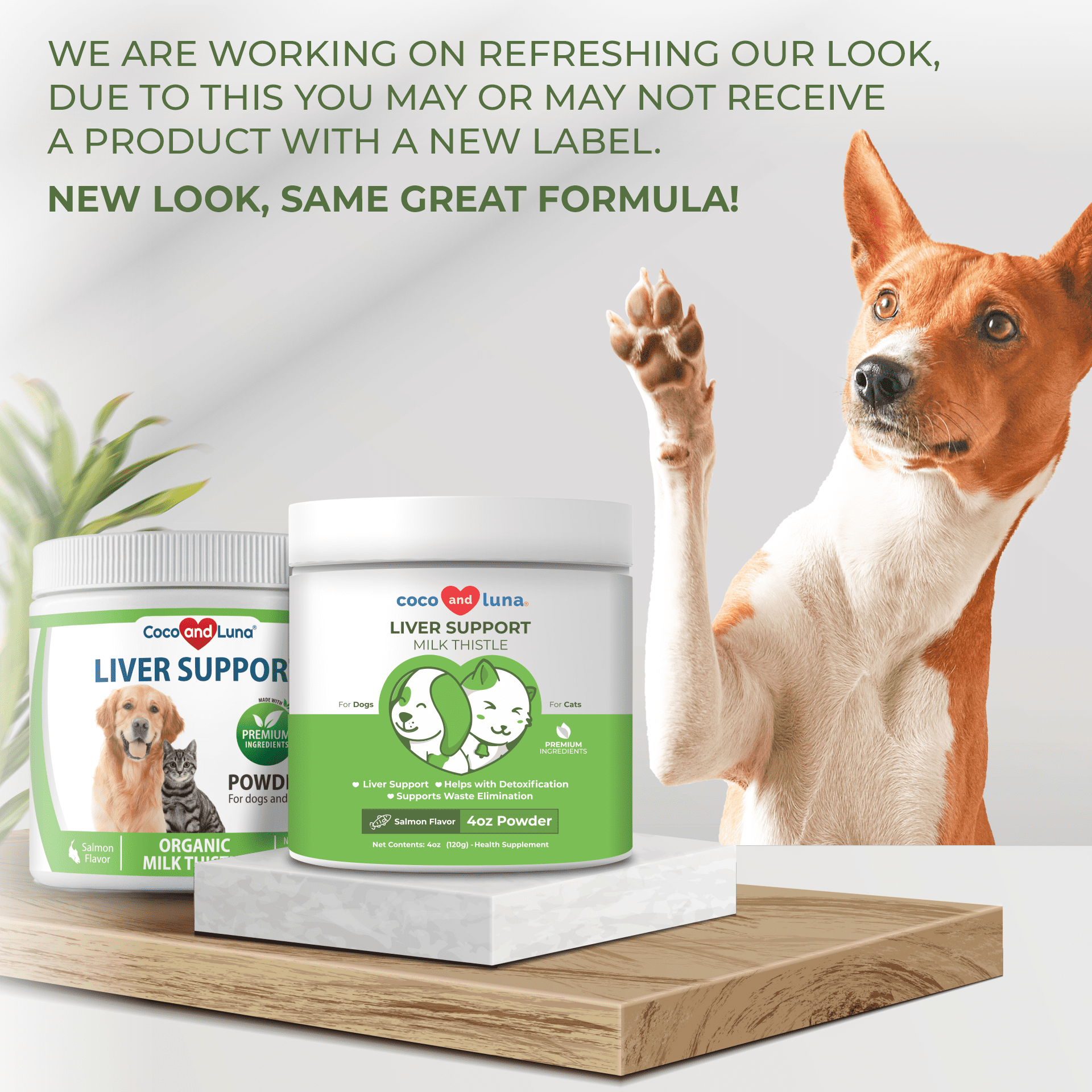 Liver Support for Dogs and Cats 4 oz Powder Coco and Luna