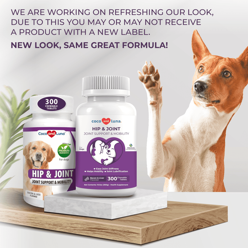 Hip and Joint Support for Dogs - 300 Chewable Tablets
