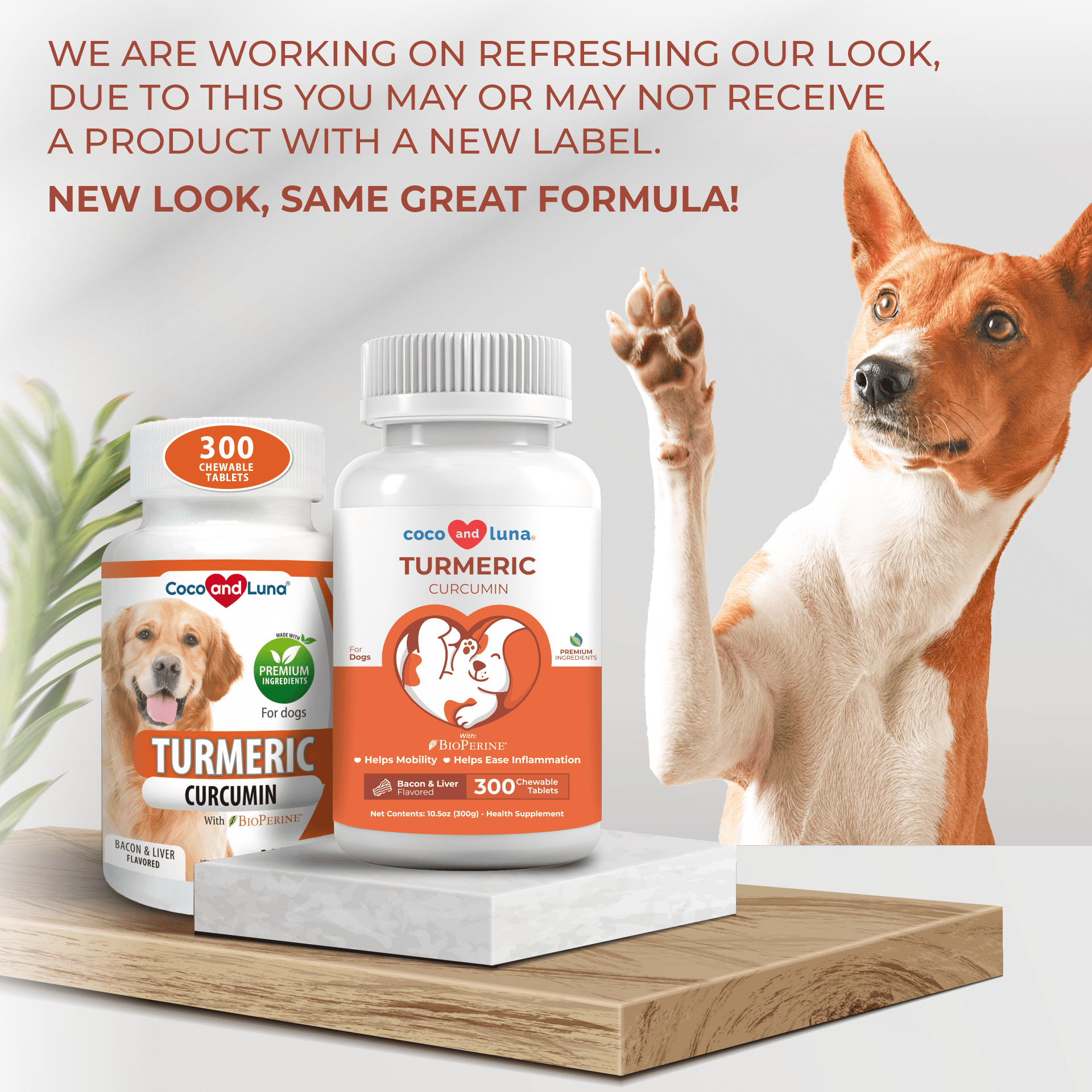 Turmeric for Dogs - 300 Chewable Tablets - Coco and Luna